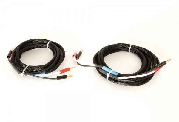 Aura Hifi LS cable 4.0