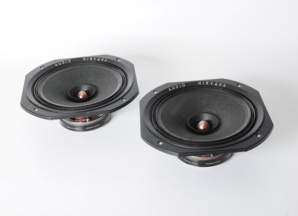 Audio Nirvana Super 12&quot; Full range driver pair