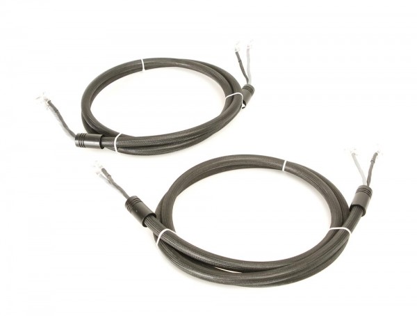 Silent Wire LS 38 3.00 WBT 0610 AG